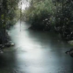 First Jungle Book Movie Footage Teases New Trailer