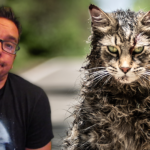 Pet Sematary (2019) – Film Review