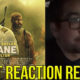 Plane FIRST REACTION Review
