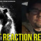 Cocaine Bear FIRST REACTION Review